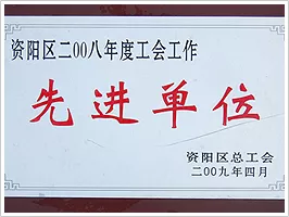 资阳区2008先进单位