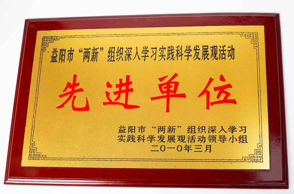 2010先进单位