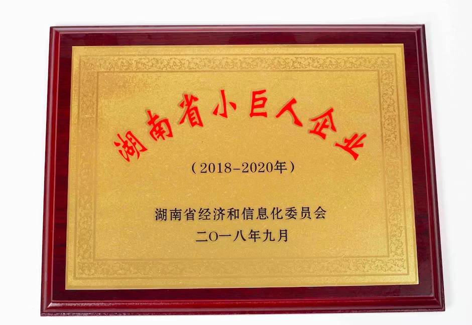 湖南省小巨人企业